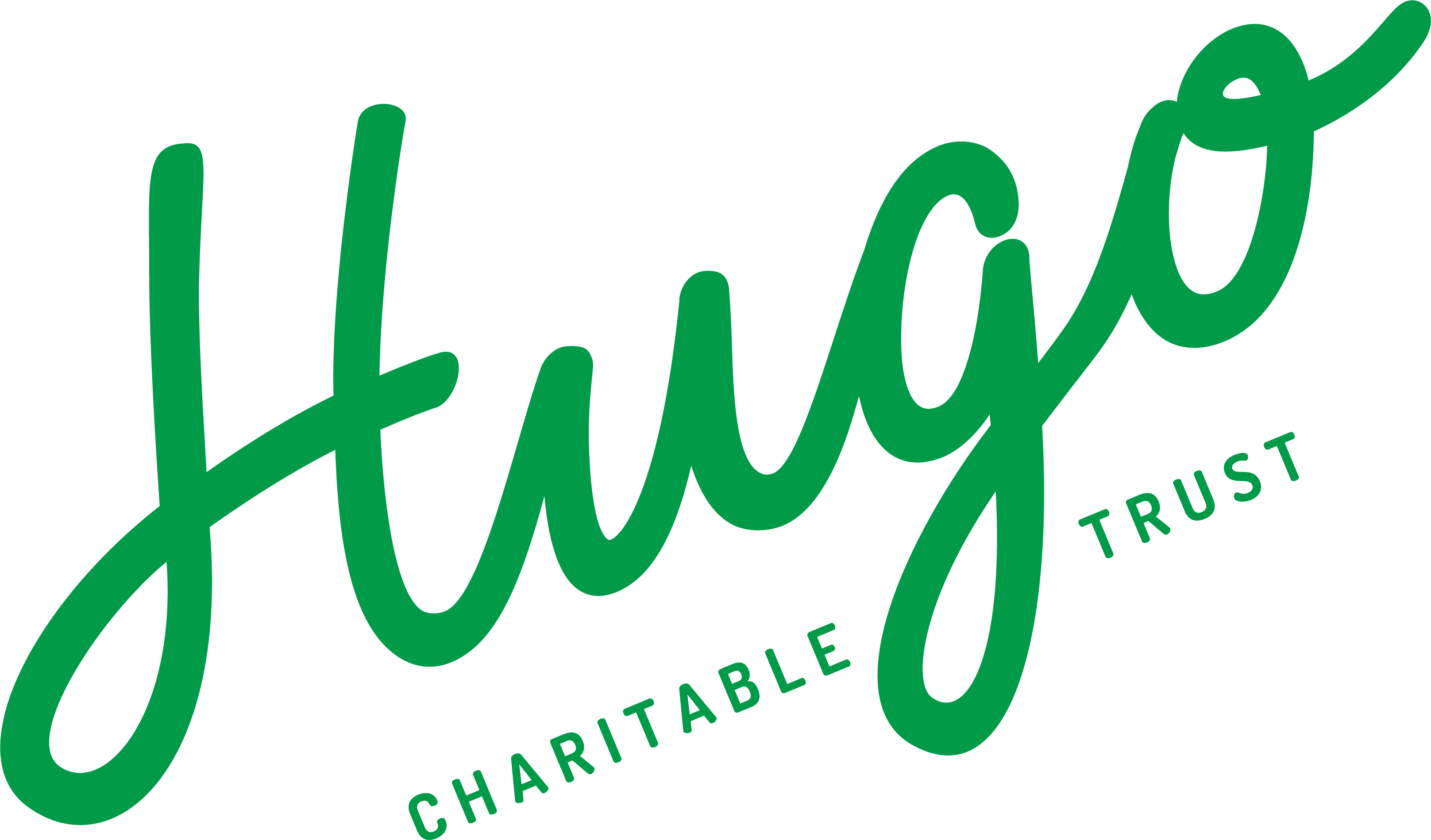Hugo Chartiable Trust